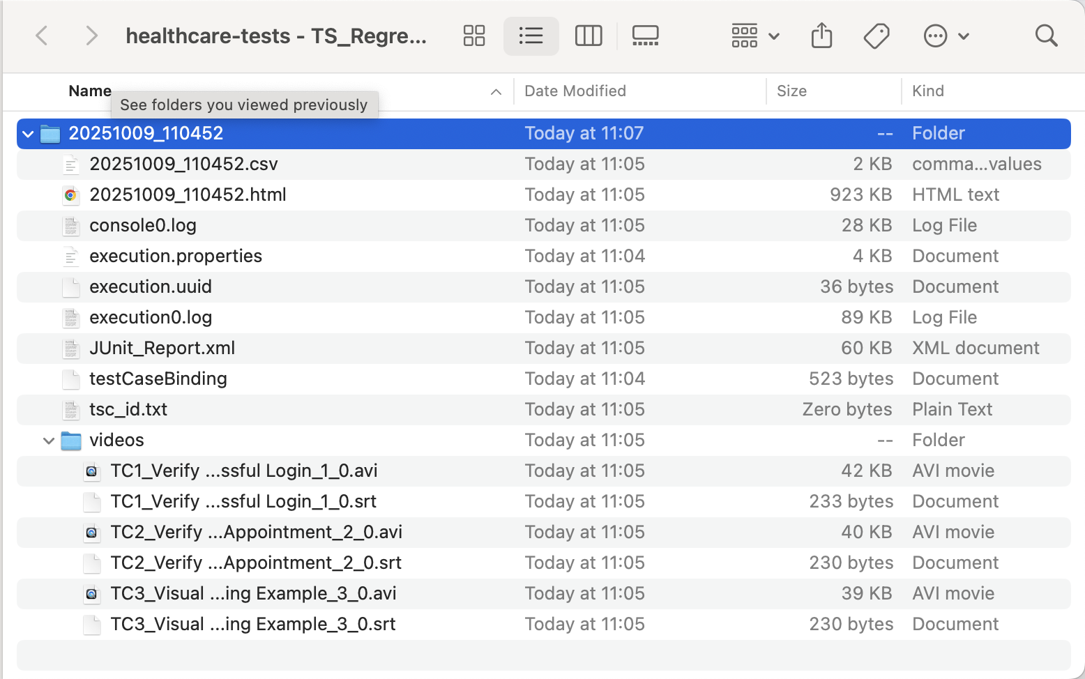 test suite execution information in Katalon Studio